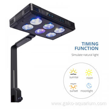 High Watt Coral Reef Aquarium Lighting for Saltwater